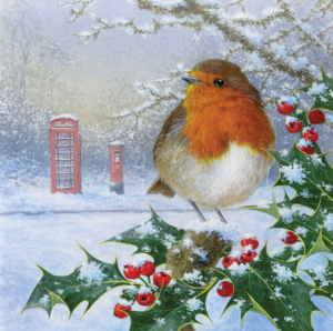 Festive Robin